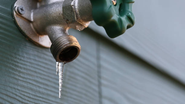 Best Shower Repair Services  in Deltona, FL